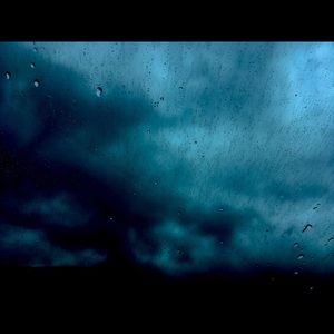 Meet your Posher, Liz